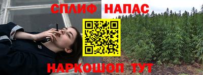 дмт Нальчик