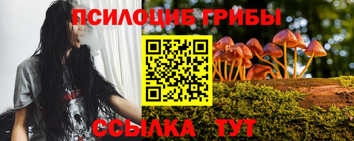 Псилоцибиновые грибы Psilocybe Феодосия