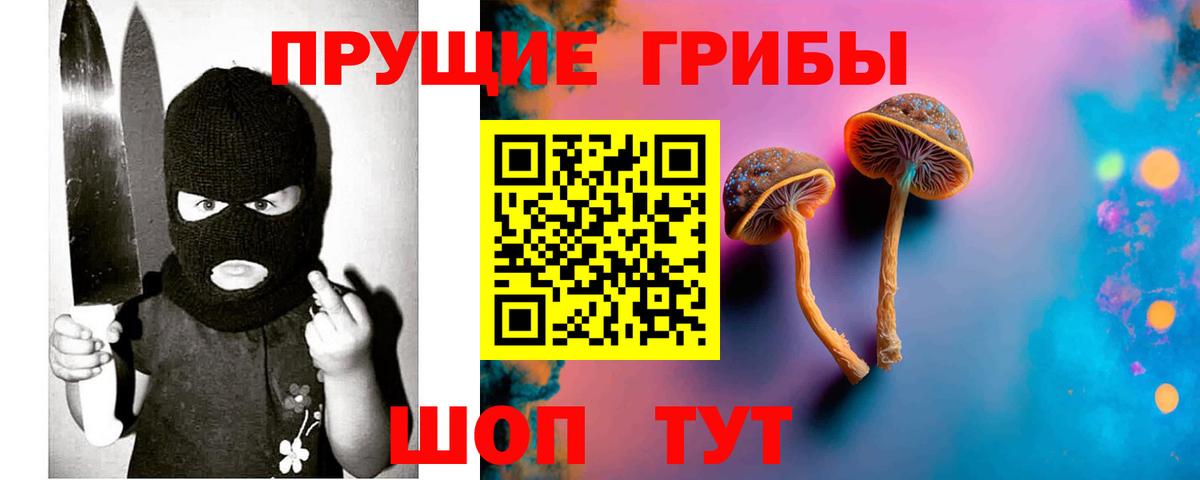 Феодосия  где купить наркоту  Вход с VPN  Псилоцибиновые грибы мицелий  Псилоцибиновые грибы Cubensis 