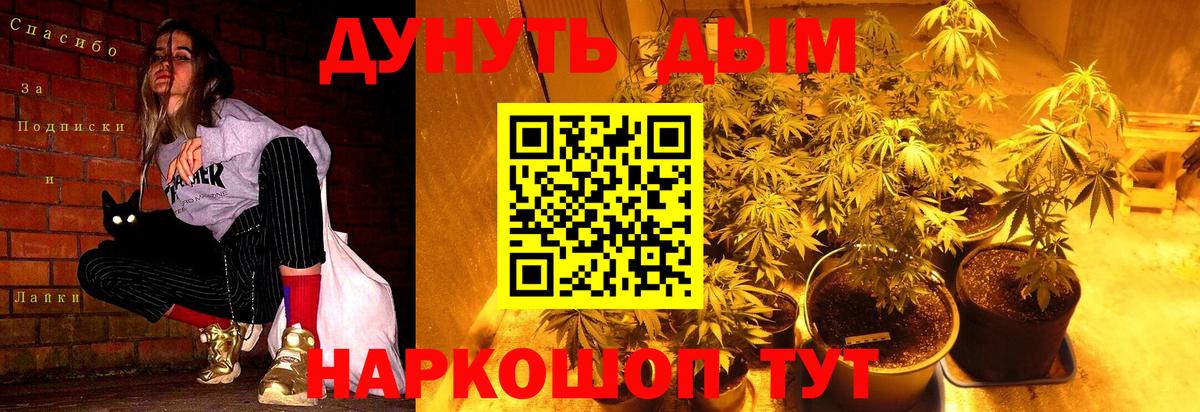 Канабис план Феодосия